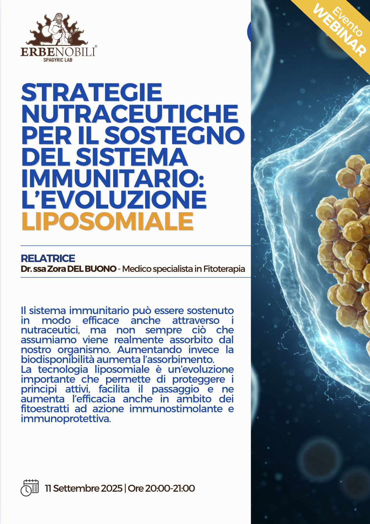 STRATEGIE NUTRACEUTICHE PER IL SOSTEGNO DEL SISTEMA IMMUNITARIO: L’EVOLUZIONE LIPOSOMIALE