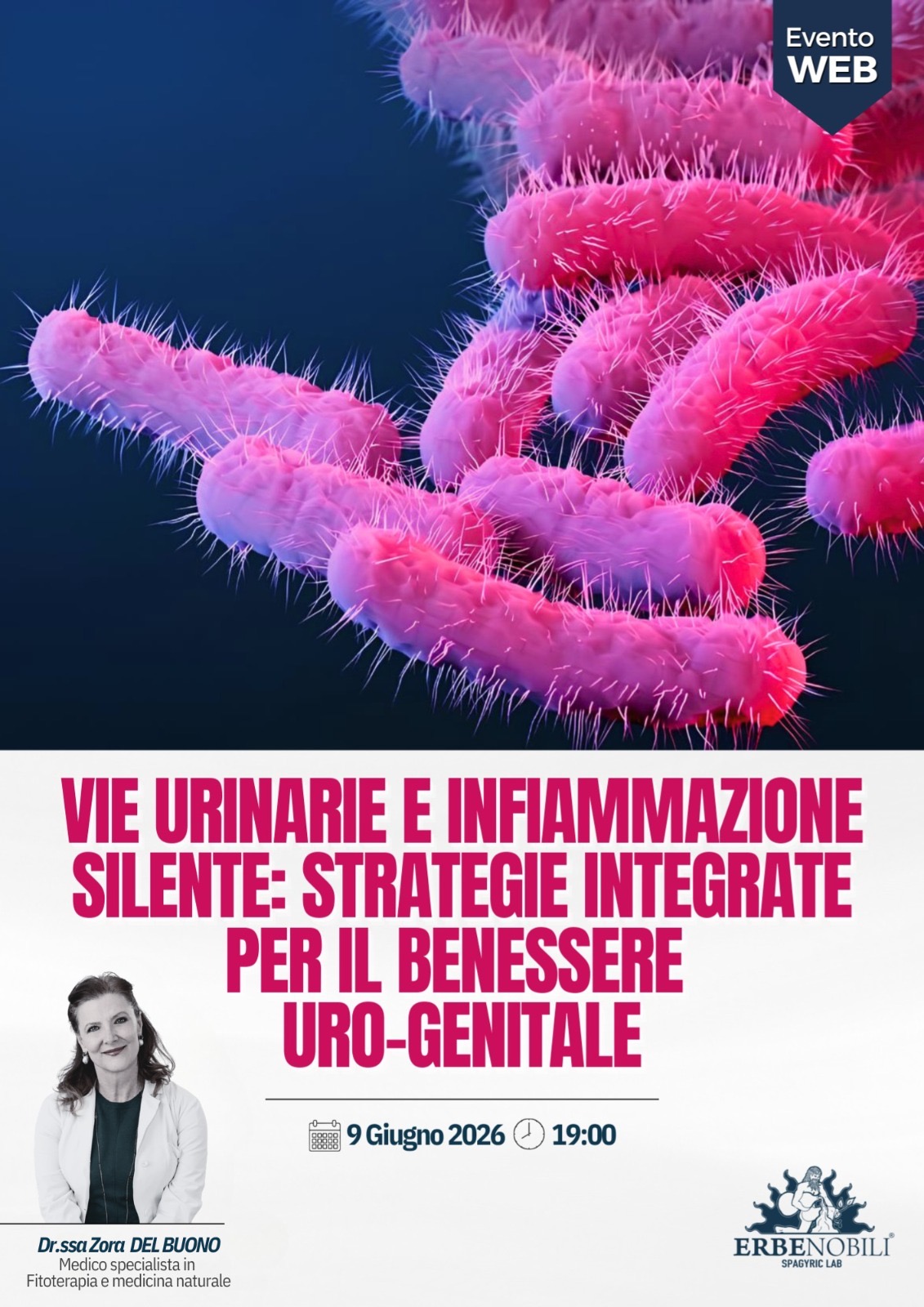 VIE URINARIE E INFIAMMAZIONE SILENTE: STRATEGIE INTEGRATE PER IL BENESSERE URO-GENITALE