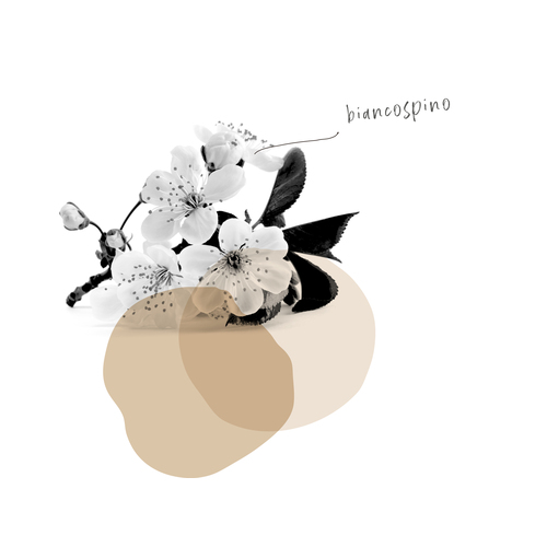 BIANCOSPINO