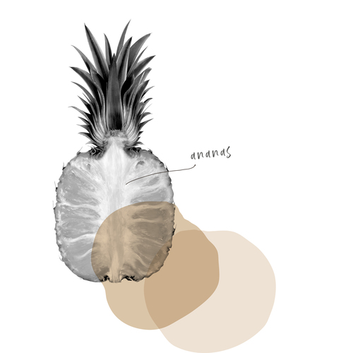 ANANAS