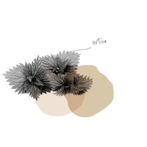ORTICA