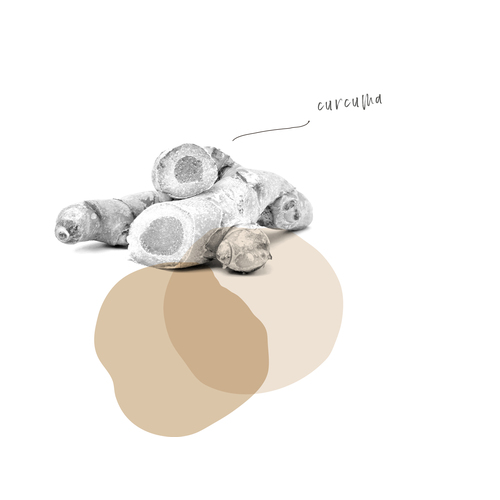 CURCUMA