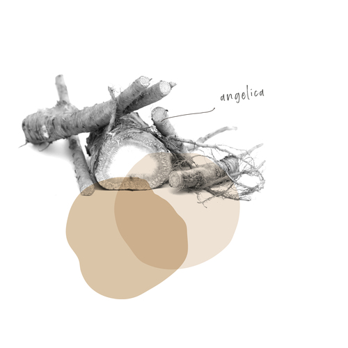 ANGELICA