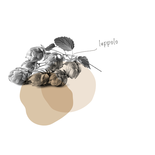 LUPPOLO