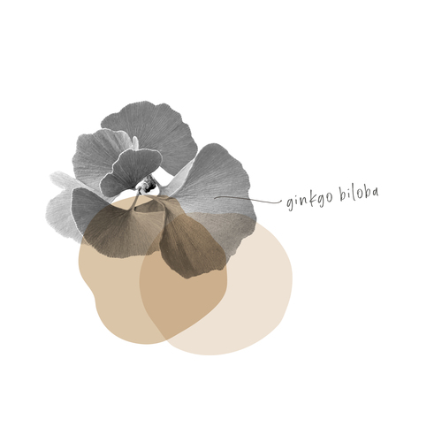 GINKGO BILOBA
