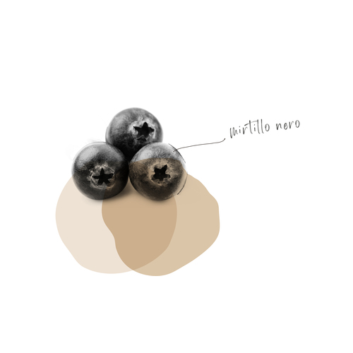 MIRTILLO NERO
