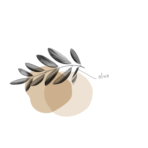 OLIVO