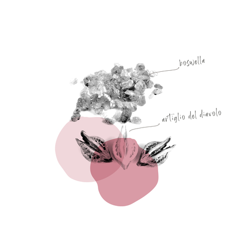 INFIAVIN NUOVA FORMULA