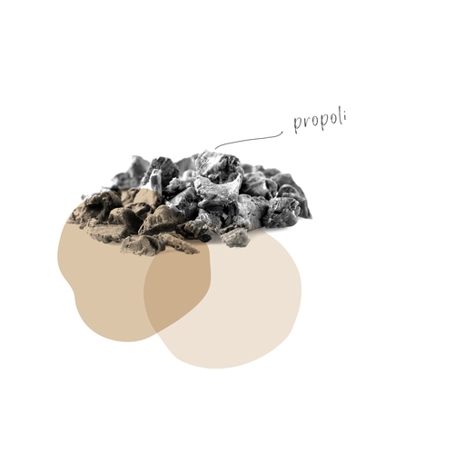 PROPOLI
